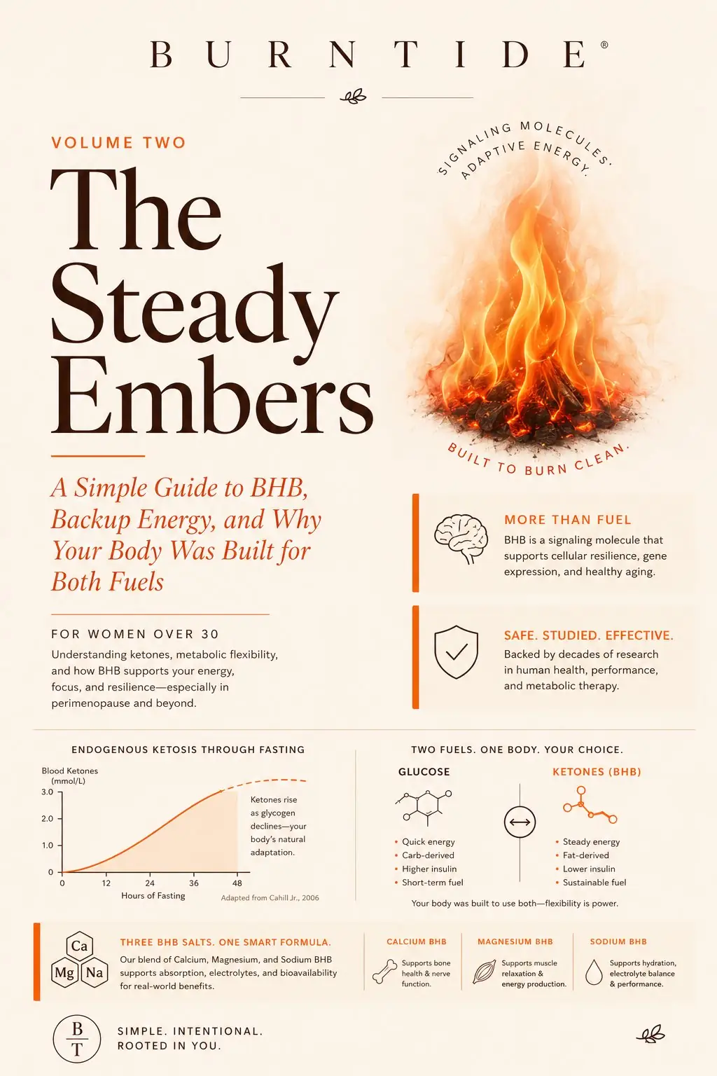 The Steady Embers bonus guide